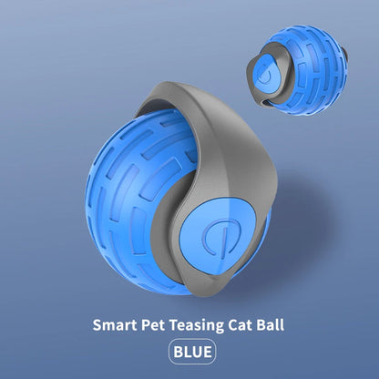 Interactive Self-Moving Cat Toy