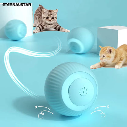Interactive Self-Moving Cat Toy